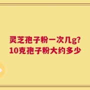 灵芝孢子粉一次几g？10克孢子粉大约多少