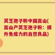 灵芝孢子粉中国嵩山(嵩山产灵芝孢子粉：提升免疫力的自然良品)