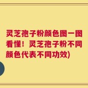 灵芝孢子粉颜色图一图看懂！灵芝孢子粉不同颜色代表不同功效)