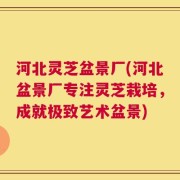 河北灵芝盆景厂(河北盆景厂专注灵芝栽培，成就极致艺术盆景)
