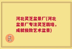河北灵芝盆景厂(河北盆景厂专注灵芝栽培，成就极致艺术盆景)