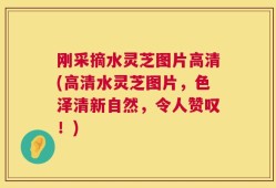 刚采摘水灵芝图片高清(高清水灵芝图片，色泽清新自然，令人赞叹！)
