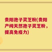 贵阳孢子灵芝粉(贵阳产纯天然孢子灵芝粉，提高免疫力)