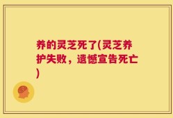 养的灵芝死了(灵芝养护失败，遗憾宣告死亡)