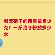 灵芝孢子的用量是多少克？一斤孢子粉放多少水