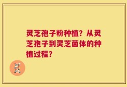 灵芝孢子粉种植？从灵芝孢子到灵芝菌体的种植过程？