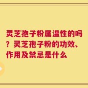 灵芝孢子粉属温性的吗？灵芝孢子粉的功效、作用及禁忌是什么