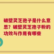 破壁灵芝孢子是什么意思？破壁灵芝孢子粉的功效与作用有哪些