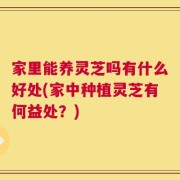 家里能养灵芝吗有什么好处(家中种植灵芝有何益处？)