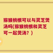 猕猴桃根可以与灵芝煲汤吗(猕猴桃根和灵芝可一起煲汤？)