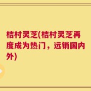 桔村灵芝(桔村灵芝再度成为热门，远销国内外)
