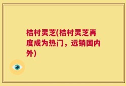 桔村灵芝(桔村灵芝再度成为热门，远销国内外)