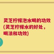 灵芝柠檬泡水喝的功效(灵芝柠檬水的好处，喝法和功效)