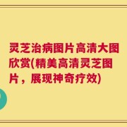灵芝治病图片高清大图欣赏(精美高清灵芝图片，展现神奇疗效)