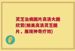灵芝治病图片高清大图欣赏(精美高清灵芝图片，展现神奇疗效)