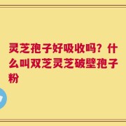灵芝孢子好吸收吗？什么叫双芝灵芝破壁孢子粉