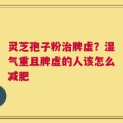 灵芝孢子粉治脾虚？湿气重且脾虚的人该怎么减肥