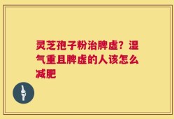 灵芝孢子粉治脾虚？湿气重且脾虚的人该怎么减肥