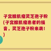 子宫腺肌瘤灵芝孢子粉(子宫腺肌瘤患者的福音，灵芝孢子粉来袭！)