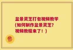 盆景灵芝打包视频教学(如何制作盆景灵芝？视频教程来了！)