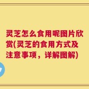 灵芝怎么食用呢图片欣赏(灵芝的食用方式及注意事项，详解图解)