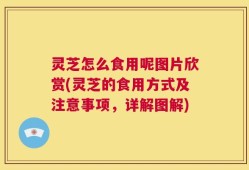 灵芝怎么食用呢图片欣赏(灵芝的食用方式及注意事项，详解图解)