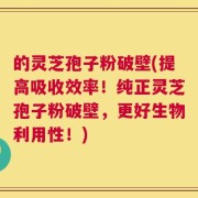 的灵芝孢子粉破壁(提高吸收效率！纯正灵芝孢子粉破壁，更好生物利用性！)
