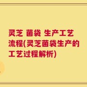 灵芝 菌袋 生产工艺流程(灵芝菌袋生产的工艺过程解析)