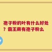 孢子粉的叶有什么好处？霸王蕨有孢子粉么