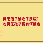灵芝孢子油吃了反应？吃灵芝孢子粉有何反应