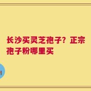 长沙买灵芝孢子？正宗孢子粉哪里买
