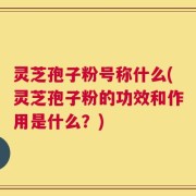 灵芝孢子粉号称什么(灵芝孢子粉的功效和作用是什么？)