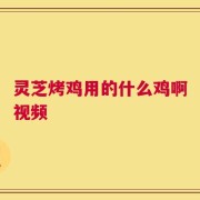 灵芝烤鸡用的什么鸡啊视频