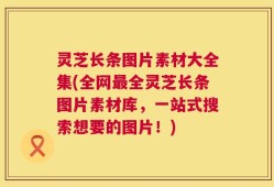 灵芝长条图片素材大全集(全网最全灵芝长条图片素材库，一站式搜索想要的图片！)