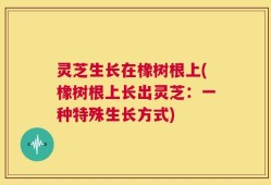 灵芝生长在橡树根上(橡树根上长出灵芝：一种特殊生长方式)