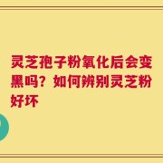 灵芝孢子粉氧化后会变黑吗？如何辨别灵芝粉好坏