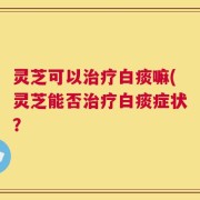 灵芝可以治疗白痰嘛(灵芝能否治疗白痰症状？