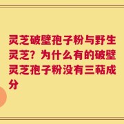 灵芝破壁孢子粉与野生灵芝？为什么有的破壁灵芝孢子粉没有三萜成分
