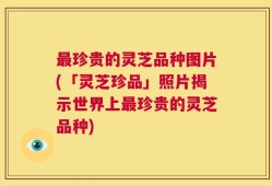 最珍贵的灵芝品种图片(「灵芝珍品」照片揭示世界上最珍贵的灵芝品种)