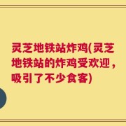 灵芝地铁站炸鸡(灵芝地铁站的炸鸡受欢迎，吸引了不少食客)