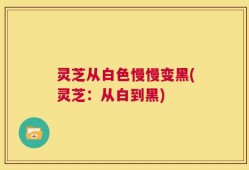 灵芝从白色慢慢变黑(灵芝：从白到黑)