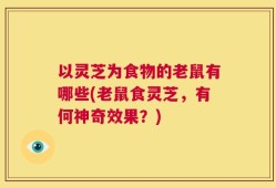 以灵芝为食物的老鼠有哪些(老鼠食灵芝，有何神奇效果？)