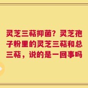 灵芝三萜抑菌？灵芝孢子粉里的灵芝三萜和总三萜，说的是一回事吗