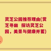 灵芝公园推荐理由(赏芝寻幽  探访灵芝公园，美景与健康并蓄)