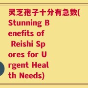 灵芝孢子十分有急数(Stunning Benefits of Reishi Spores for Urgent Health Needs)