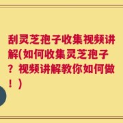 刮灵芝孢子收集视频讲解(如何收集灵芝孢子？视频讲解教你如何做！)