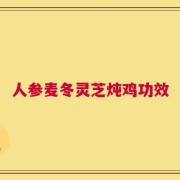 人参麦冬灵芝炖鸡功效