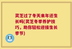 灵芝过了冬天来年还生长吗(灵芝冬季养护技巧，助你轻松迎接生长季节)