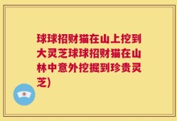 球球招财猫在山上挖到大灵芝球球招财猫在山林中意外挖掘到珍贵灵芝)
