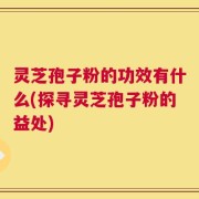 灵芝孢子粉的功效有什么(探寻灵芝孢子粉的益处)